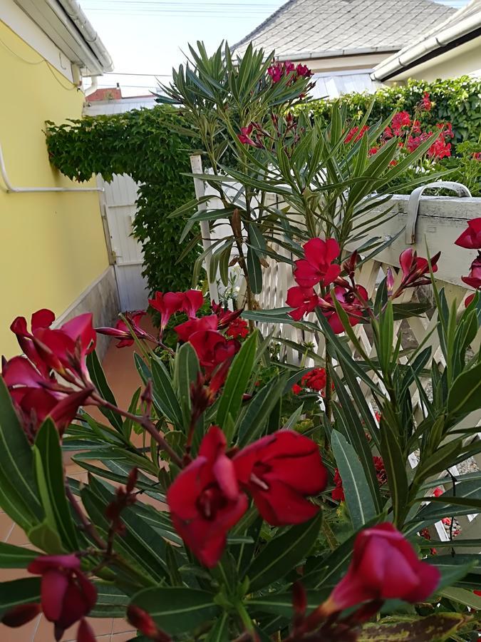 Castello Vendeg Es Apartmanhaz エゲル エクステリア 写真